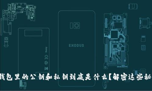 加密钱包里的公钥和私钥到底是什么？解密这些秘密吧！