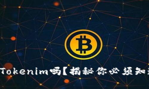 比特币能转到Tokenim吗？揭秘你必须知道的转账细节！
