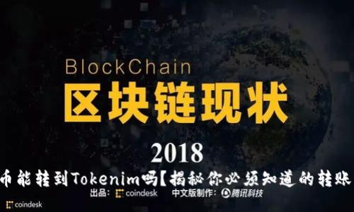 比特币能转到Tokenim吗？揭秘你必须知道的转账细节！
