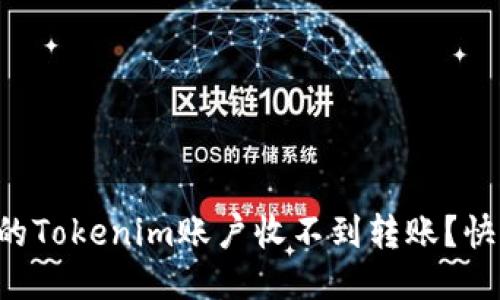 为什么我的Tokenim账户收不到转账？快来找答案！