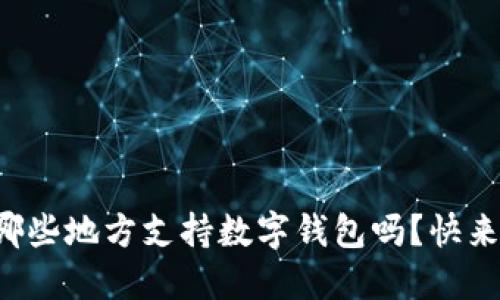 你知道哪些地方支持数字钱包吗？快来看看吧！