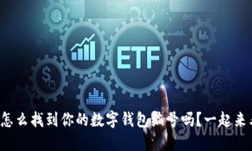 你知道怎么找到你的数字钱包编号吗？一起来看看吧！