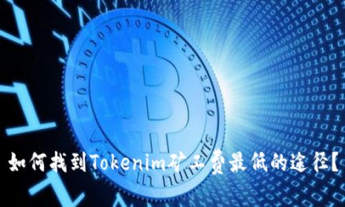 如何找到Tokenim矿工费最低的途径？