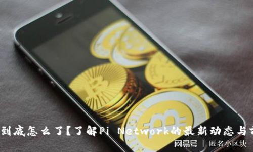 “Pi币到底怎么了？了解Pi Network的最新动态与前景！”