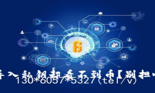怎么在Tokenim钱包中导入私钥却看不到币？别担心，老司机教你如何解决！