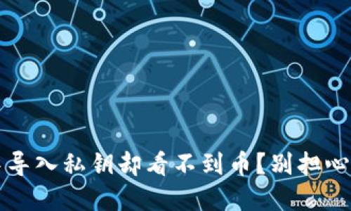 怎么在Tokenim钱包中导入私钥却看不到币？别担心，老司机教你如何解决！