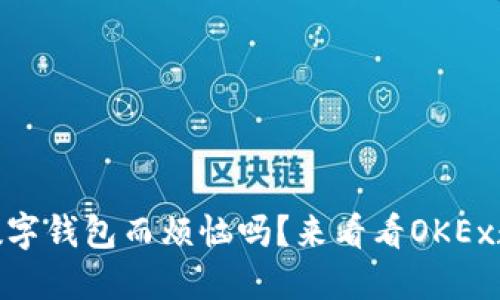 你还在为选择数字钱包而烦恼吗？来看看OKEx数字钱包APP吧！