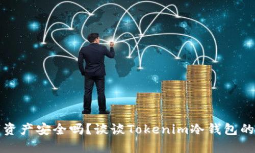 你的数字资产安全吗？谈谈Tokenim冷钱包的风险提示