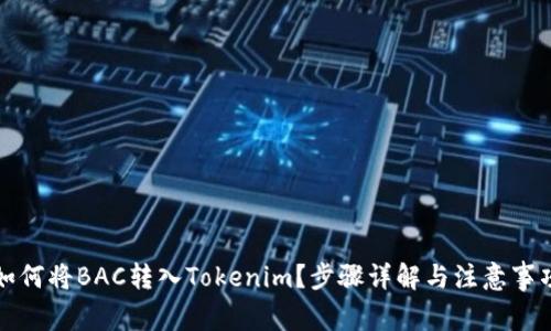 如何将BAC转入Tokenim？步骤详解与注意事项
