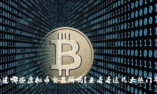 你知道哪些虚拟币交易所吗？来看看这几大热门平台！