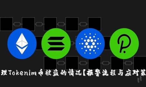 如何处理Tokenim币被盗的情况？报警流程与应对策略分享