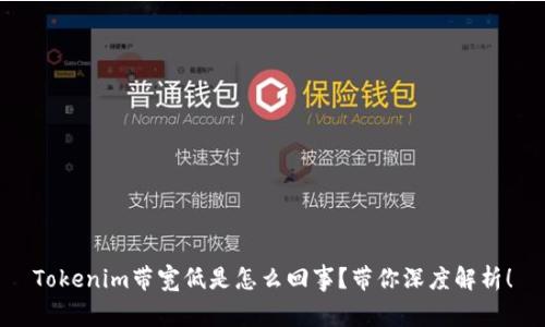 Tokenim带宽低是怎么回事？带你深度解析！