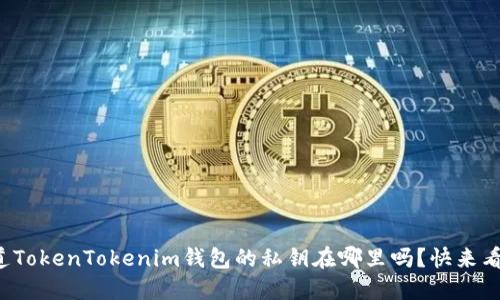 你知道TokenTokenim钱包的私钥在哪里吗？快来看看吧！