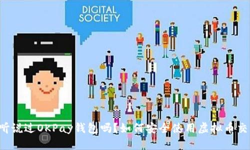 你听说过OKPay钱包吗？如何安全使用虚拟币交易！