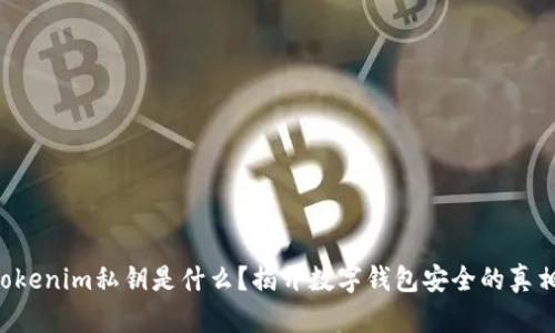 “tokenim私钥是什么？揭开数字钱包安全的真相！”