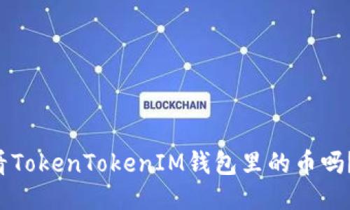 你知道如何查看TokenTokenIM钱包里的币吗？让我们来聊聊！