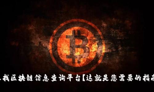 想找区块链信息查询平台？这就是您需要的指南！