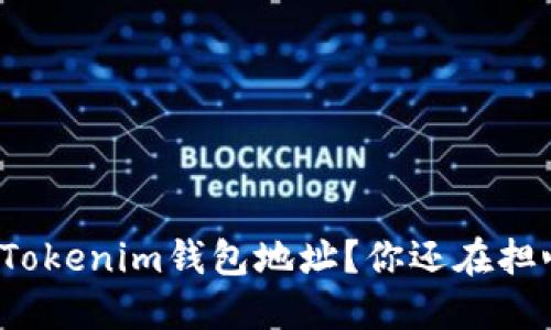 如何轻松更换Tokenim钱包地址？你还在担心地址出错吗？