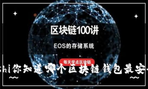 biboshi你知道哪个区块链钱包最安全吗？