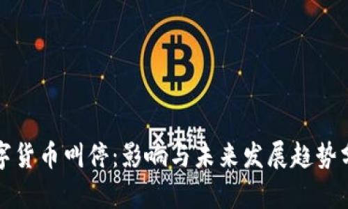 数字货币叫停：影响与未来发展趋势分析