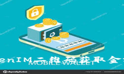 如何使用TokenIM二维码获取金额的详细指南