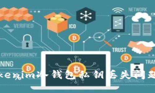 如何应对Tokenim冷钱包私钥丢失问题及解决方案