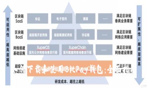 如何下载和使用BitPay钱包：全面指南