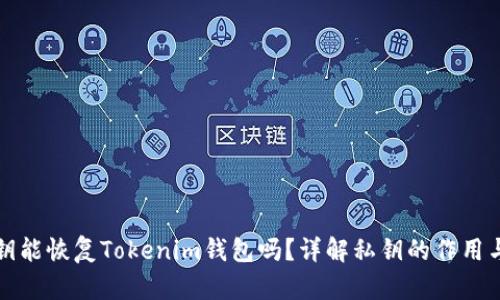 知道私钥能恢复Tokenim钱包吗？详解私钥的作用与安全性