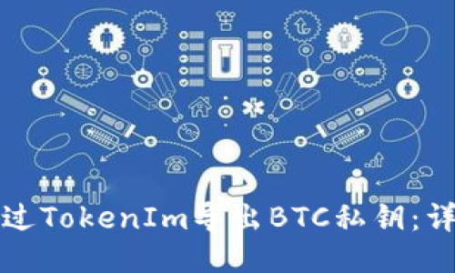 如何通过TokenIm导出BTC私钥：详细指南