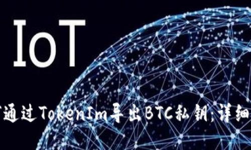 如何通过TokenIm导出BTC私钥：详细指南