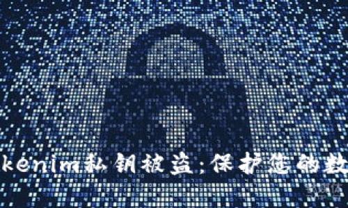 如何防止Tokenim私钥被盗:保护您的数字资产安全