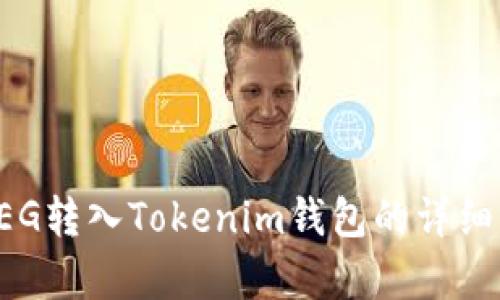如何将FEG转入Tokenim钱包的详细步骤解析
