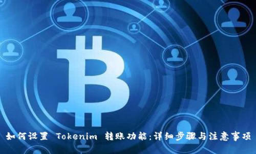 如何设置 Tokenim 转账功能：详细步骤与注意事项