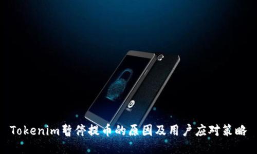 Tokenim暂停提币的原因及用户应对策略