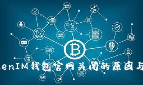 TokenTokenIM钱包官网关闭的原因与影响分析