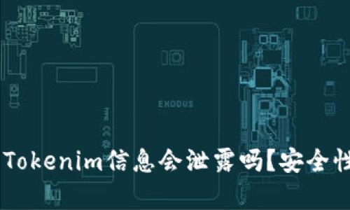 什么是Tokenim？Tokenim信息会泄露吗？安全性分析与防范措施