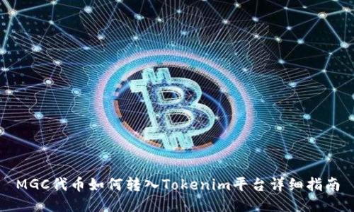 MGC代币如何转入Tokenim平台详细指南