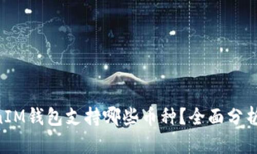 TokenTokenIM钱包支持哪些币种？全面分析与使用指南