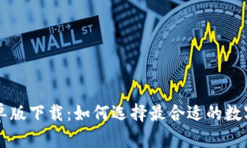 虚拟币钱包简单版下载：如何选择最合适的数字货币存储方案