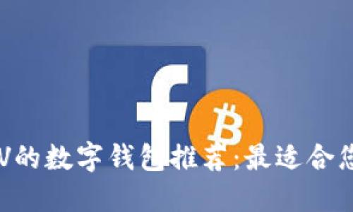 支持BSV的数字钱包推荐：最适合您的选择