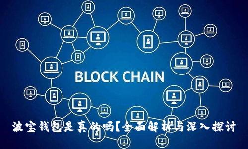 波宝钱包是真的吗？全面解析与深入探讨