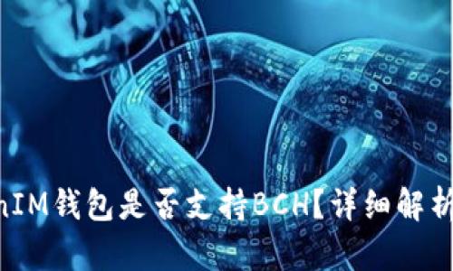 TokenTokenIM钱包是否支持BCH？详细解析与使用指南