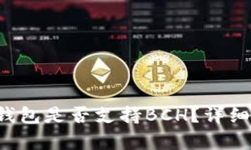 TokenTokenIM钱包是否支持BCH？详细解析与使用指南