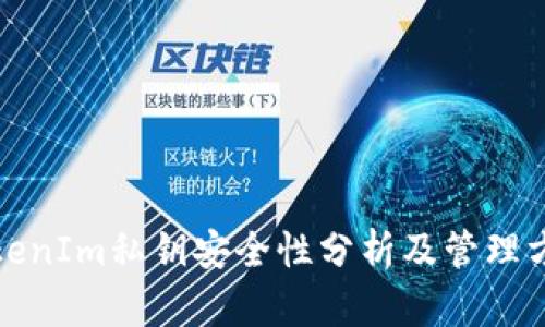 TokenIm私钥安全性分析及管理方法