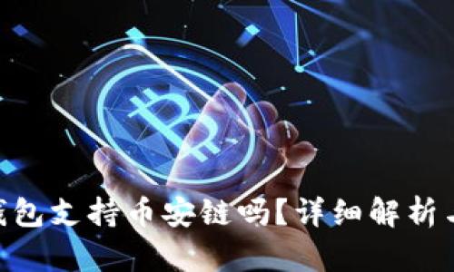 Tokenim钱包支持币安链吗？详细解析与用户指南