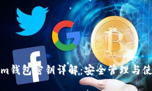Tokenim钱包密钥详解：安全管理与使用指南