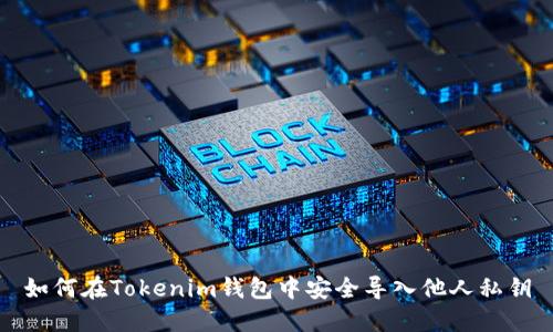 如何在Tokenim钱包中安全导入他人私钥