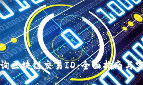 如何查询区块链交易ID：全面指南与实用技巧