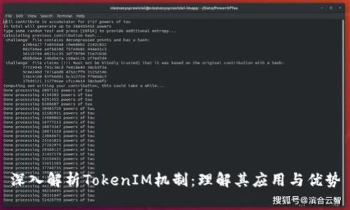 深入解析TokenIM机制：理解其应用与优势