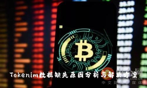 Tokenim数据缺失原因分析与解决方案